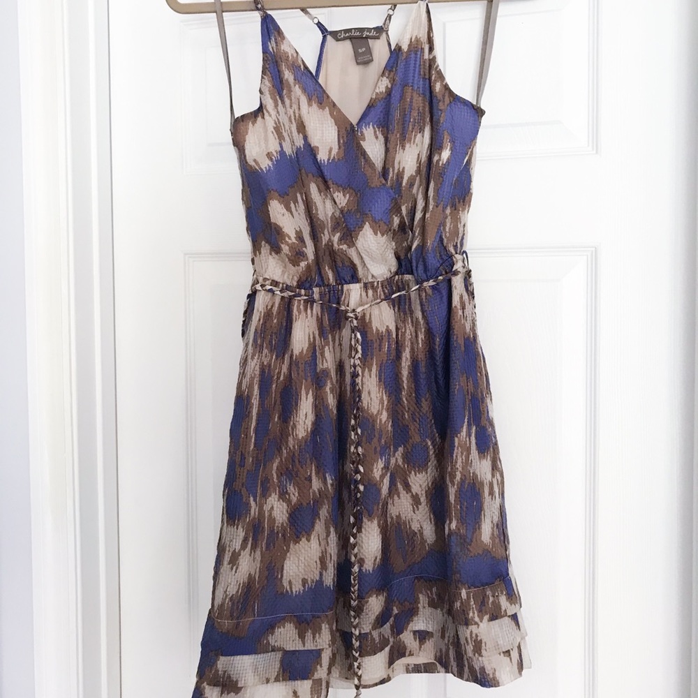 Charlie Jade Silk Dress